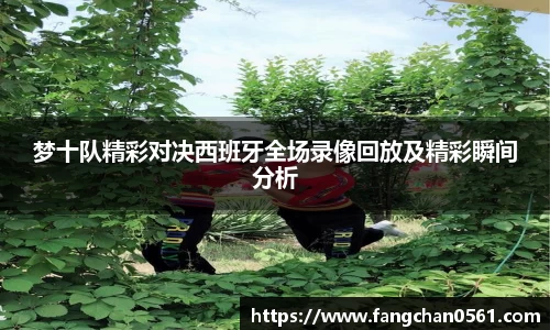 熊猫体育梦十队精彩对决西班牙全场录像回放及精彩瞬间分析